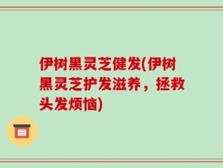 伊树黑灵芝健发(伊树黑灵芝护发滋养，拯救头发烦恼)
