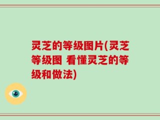 灵芝的等级图片(灵芝等级图 看懂灵芝的等级和做法)