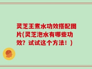 灵芝王煮水功效搭配图片(灵芝泡水有哪些功效？试试这个方法！)
