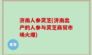 济南人参灵芝(济南出产的人参与灵芝商贸市场火爆)