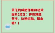灵芝的减肥作用和功效图片(灵芝：神奇减肥帮手，快速燃脂，降血糖！)