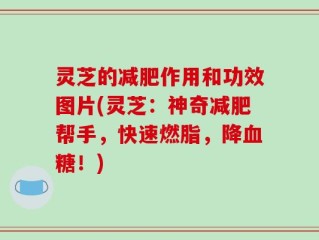 灵芝的减肥作用和功效图片(灵芝：神奇减肥帮手，快速燃脂，降血糖！)