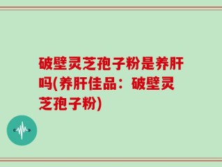 破壁灵芝孢子粉是养肝吗(养肝佳品：破壁灵芝孢子粉)