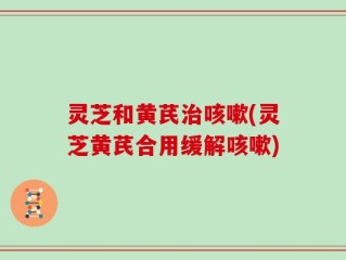 灵芝和黄芪治咳嗽(灵芝黄芪合用缓解咳嗽)
