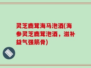 灵芝鹿茸海马泡酒(海参灵芝鹿茸泡酒，滋补益气强筋骨)