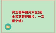 灵芝菩萨图片大全(超全灵芝菩萨图片，一次看个够)