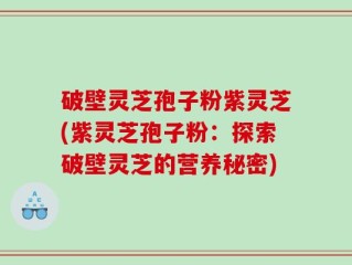 破壁灵芝孢子粉紫灵芝(紫灵芝孢子粉：探索破壁灵芝的营养秘密)