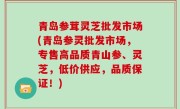 青岛参茸灵芝批发市场(青岛参灵批发市场，专售高品质青山参、灵芝，低价供应，品质保证！)