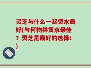灵芝与什么一起煲水最好(与何物共煲水最佳？灵芝是最好的选择！)