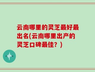 云南哪里的灵芝最好最出名(云南哪里出产的灵芝口碑最佳？)