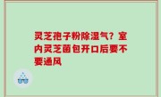 灵芝孢子粉除湿气？室内灵芝菌包开口后要不要通风