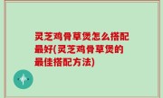 灵芝鸡骨草煲怎么搭配最好(灵芝鸡骨草煲的最佳搭配方法)