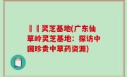 廣東灵芝基地(广东仙草岭灵芝基地：探访中国珍贵中草药资源)