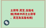 土茯苓.灵芝.五指毛桃(传统中药之土茯苓、灵芝及五指毛桃)