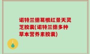 诺特兰德葛根红景天灵芝胶囊(诺特兰德多种草本营养素胶囊)