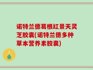 诺特兰德葛根红景天灵芝胶囊(诺特兰德多种草本营养素胶囊)