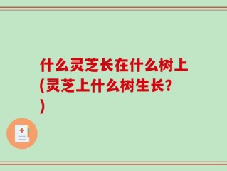 什么灵芝长在什么树上(灵芝上什么树生长？)