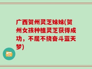 广西贺州灵芝妹妹(贺州女孩种植灵芝获得成功，不屈不挠奋斗蓝天梦)