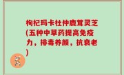 枸杞玛卡杜仲鹿茸灵芝(五种中草药提高免疫力，排毒养颜，抗衰老)