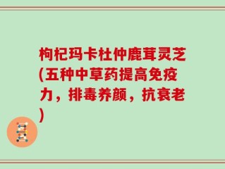 枸杞玛卡杜仲鹿茸灵芝(五种中草药提高免疫力，排毒养颜，抗衰老)