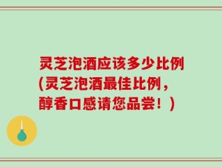 灵芝泡酒应该多少比例(灵芝泡酒最佳比例，醇香口感请您品尝！)