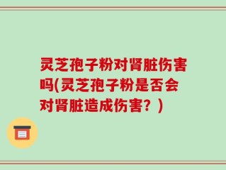 灵芝孢子粉对肾脏伤害吗(灵芝孢子粉是否会对肾脏造成伤害？)