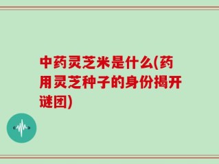 中药灵芝米是什么(药用灵芝种子的身份揭开谜团)