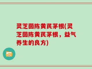灵芝茵陈黄芪茅根(灵芝茵陈黄芪茅根，益气养生的良方)