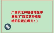 广西灵芝种植基地在哪里呢(广西灵芝种植基地的位置在哪儿？)