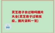 灵芝孢子会过敏吗图片大全(灵芝孢子过敏反应，图片资料一览)