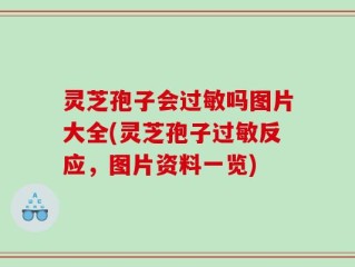 灵芝孢子会过敏吗图片大全(灵芝孢子过敏反应，图片资料一览)