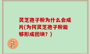灵芝孢子粉为什么会成片(为何灵芝孢子粉能够形成团块？)