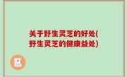 关于野生灵芝的好处(野生灵芝的健康益处)