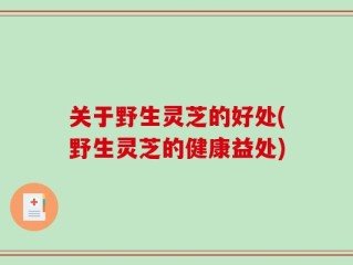 关于野生灵芝的好处(野生灵芝的健康益处)