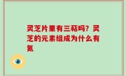 灵芝片里有三萜吗？灵芝的元素组成为什么有氮