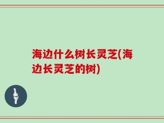 海边什么树长灵芝(海边长灵芝的树)
