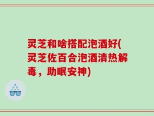灵芝和啥搭配泡酒好(灵芝佐百合泡酒清热解毒，助眠安神)