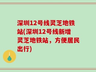 深圳12号线灵芝地铁站(深圳12号线新增灵芝地铁站，方便居民出行)