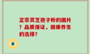 正宗灵芝孢子粉的图片？品质保证，健康养生的选择？