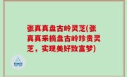 张真真盘古岭灵芝(张真真采摘盘古岭珍贵灵芝，实现美好致富梦)