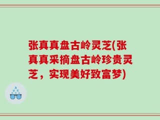 张真真盘古岭灵芝(张真真采摘盘古岭珍贵灵芝，实现美好致富梦)