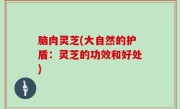 脑肉灵芝(大自然的护盾：灵芝的功效和好处)