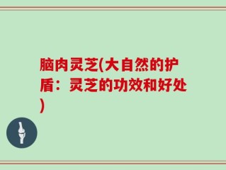 脑肉灵芝(大自然的护盾：灵芝的功效和好处)