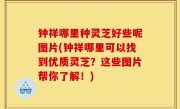 钟祥哪里种灵芝好些呢图片(钟祥哪里可以找到优质灵芝？这些图片帮你了解！)