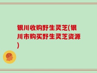 银川收购野生灵芝(银川市购买野生灵芝资源)