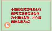 小猫能吃灵芝吗怎么吃最好(灵芝是否适合作为小猫的食物，并介绍最佳食用方式)