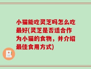 小猫能吃灵芝吗怎么吃最好(灵芝是否适合作为小猫的食物，并介绍最佳食用方式)