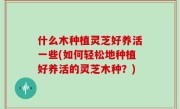 什么木种植灵芝好养活一些(如何轻松地种植好养活的灵芝木种？)