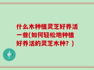 什么木种植灵芝好养活一些(如何轻松地种植好养活的灵芝木种？)