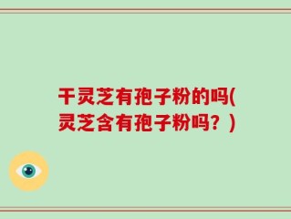干灵芝有孢子粉的吗(灵芝含有孢子粉吗？)